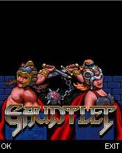 Gauntlet (220x176)(176x220)